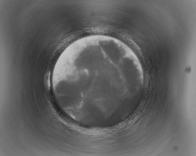 X0000116800020201001291550