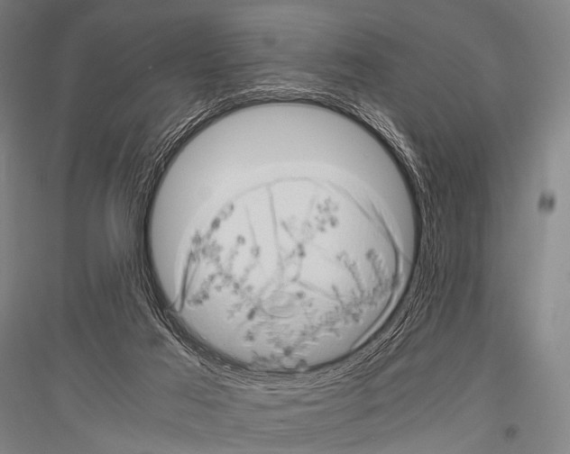 X0000116800021201001291550