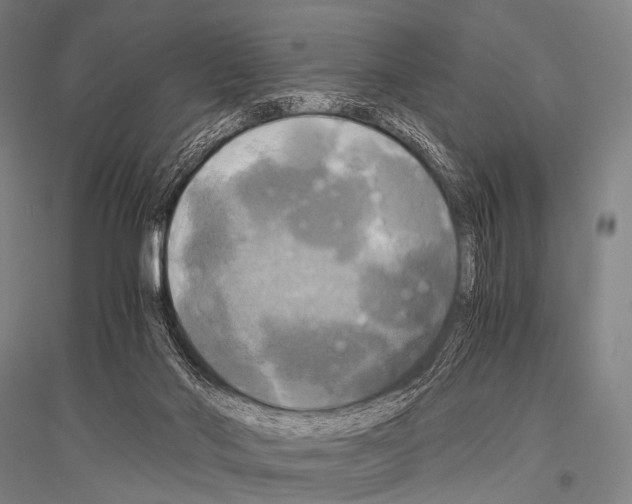 X0000116800022201001291550