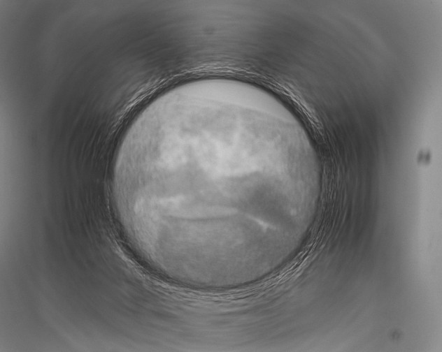 X0000116800024201001291550