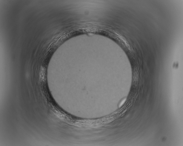 X0000116800025201001291550