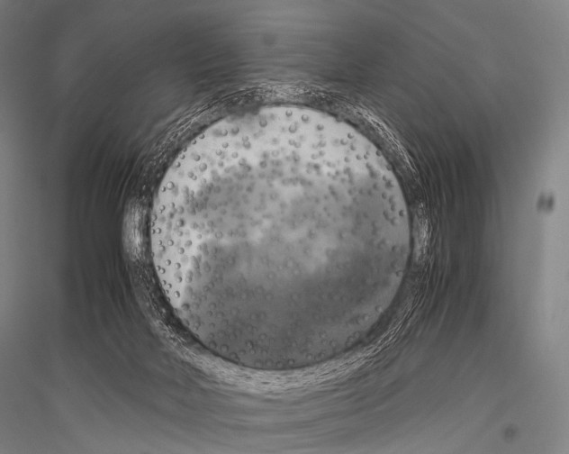 X0000116800026201001291550