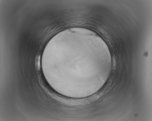 X0000116800028201001291550