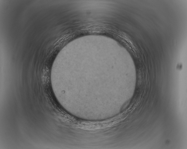 X0000116800029201001291549