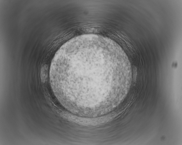 X0000116800030201001291549