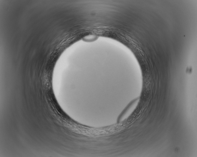 X0000116800031201001291549