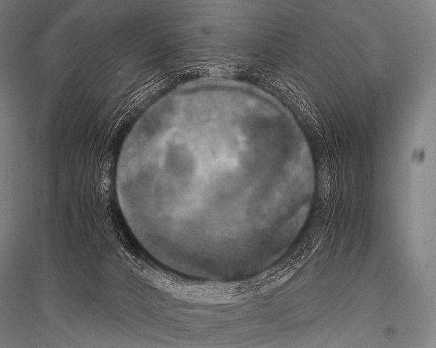 X0000116800032201001291549