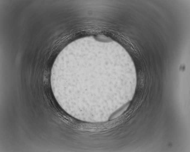 X0000116800033201001291549