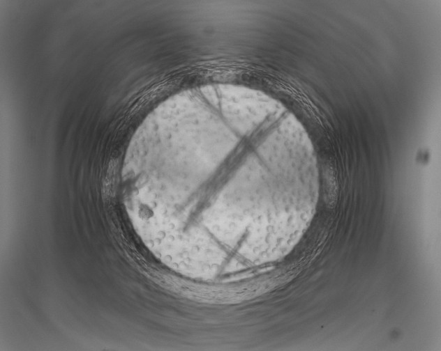 X0000116800034201001291549