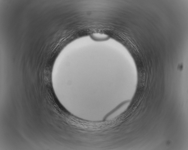 X0000116800035201001291549