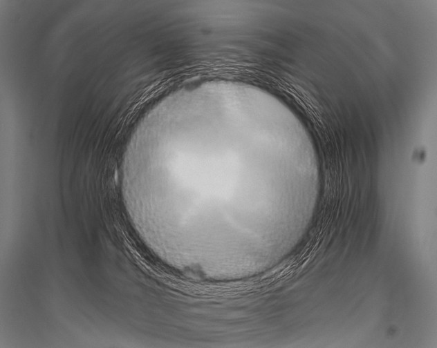 X0000116800036201001291549