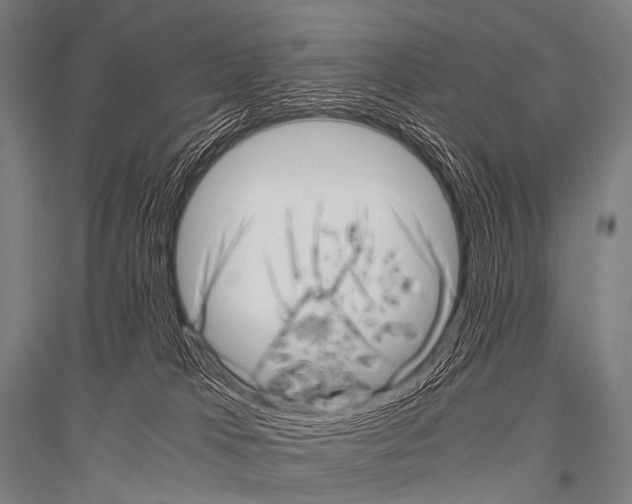 X0000116800037201001291549