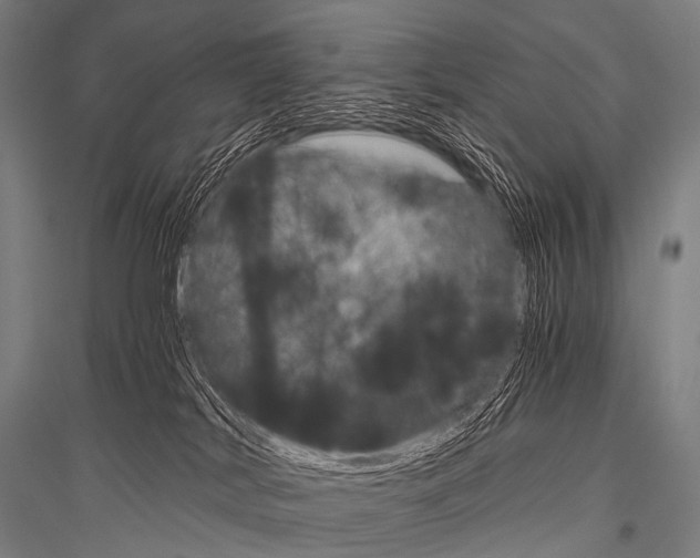 X0000116800038201001291549