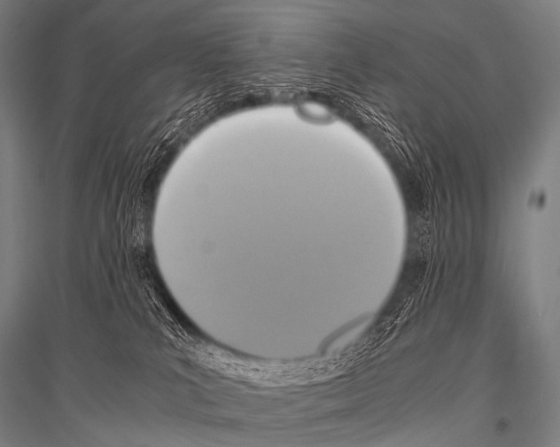 X0000116800039201001291549