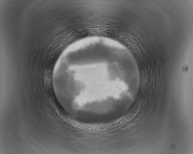 X0000116800040201001291549