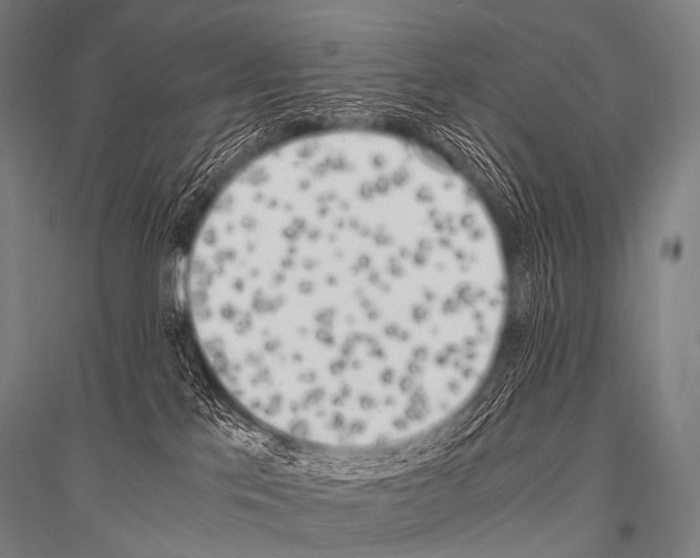 X0000116800041201001291549