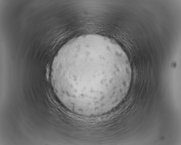 X0000116800042201001291549