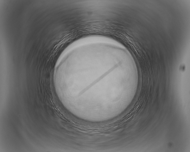 X0000116800043201001291549