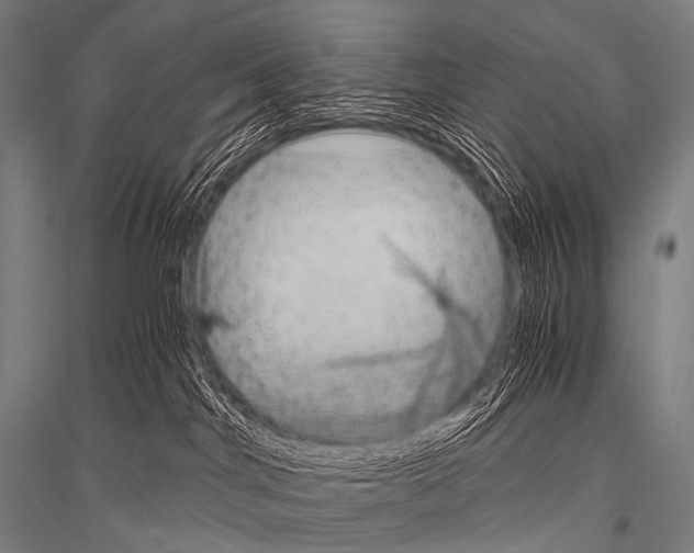X0000116800044201001291549