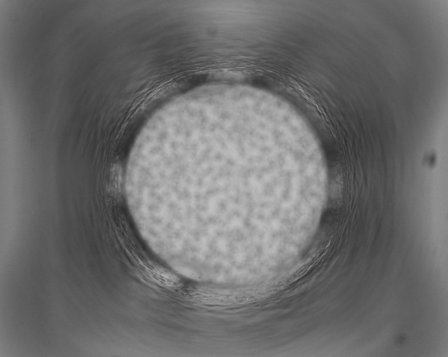 X0000116800045201001291549