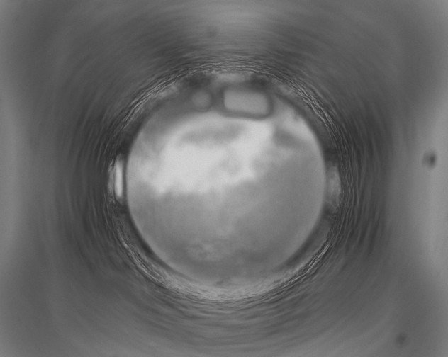 X0000116800046201001291549