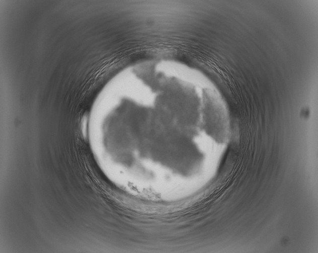 X0000116800047201001291549