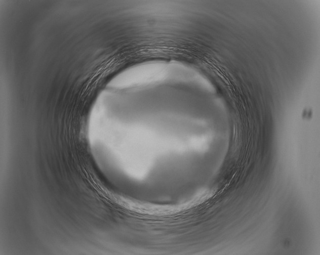 X0000116800048201001291549