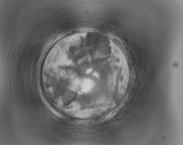 X0000116800049201001291549