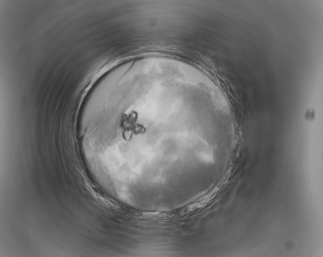 X0000116800050201001291549