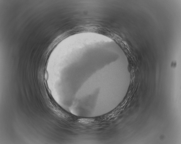 X0000116800051201001291549