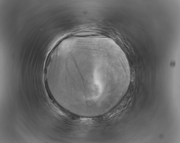 X0000116800052201001291549