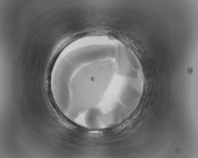 X0000116800053201001291549