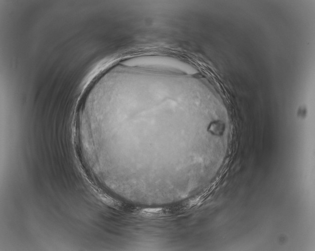 X0000116800054201001291549