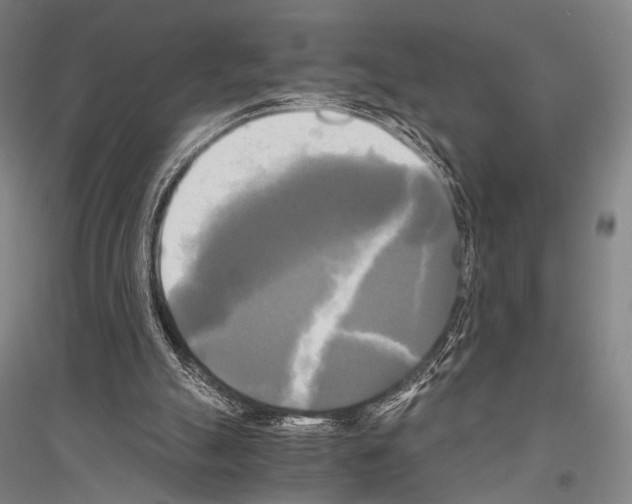 X0000116800055201001291549