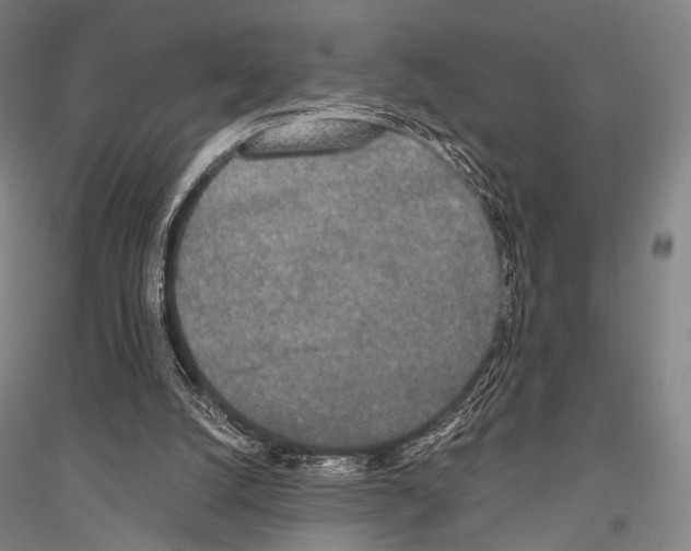 X0000116800056201001291549