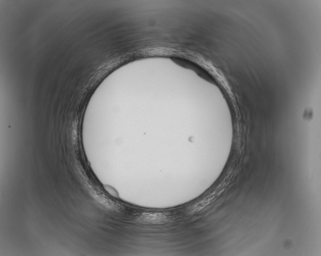 X0000116800057201001291549