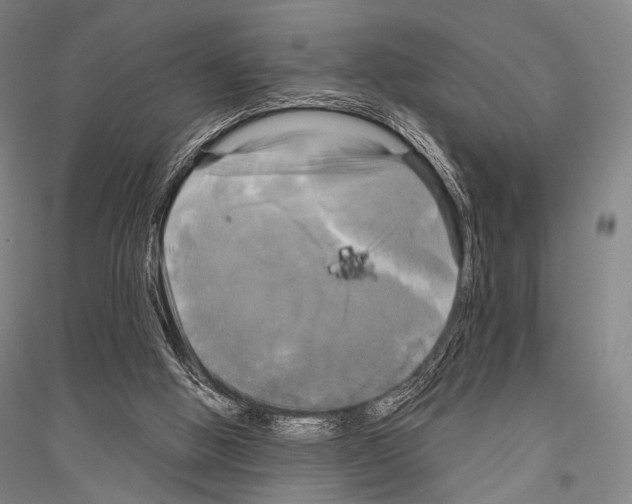 X0000116800058201001291549