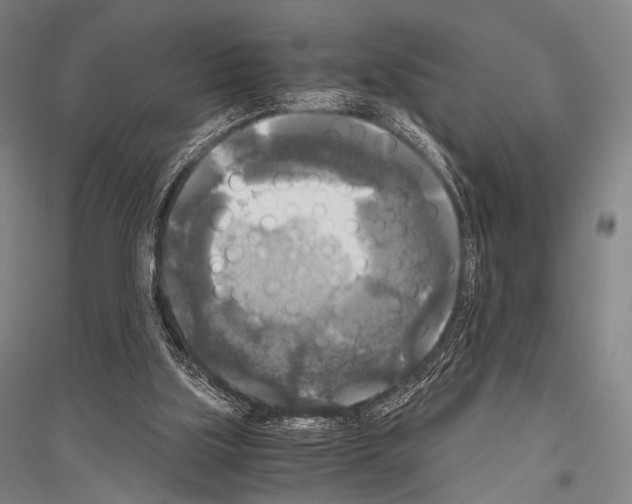 X0000116800059201001291549