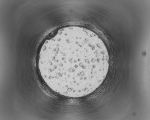 X0000116800060201001291549