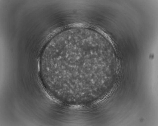 X0000116800061201001291549