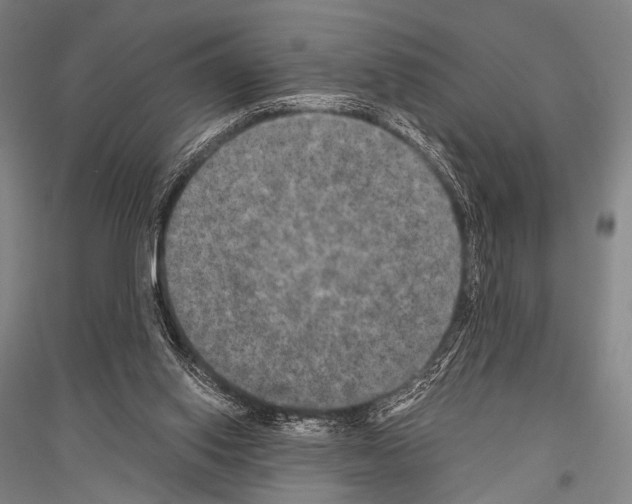 X0000116800062201001291549