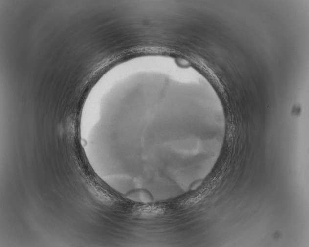 X0000116800063201001291549