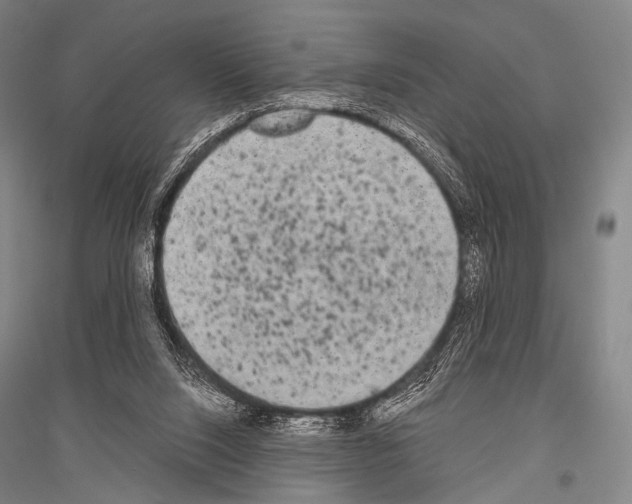 X0000116800064201001291549