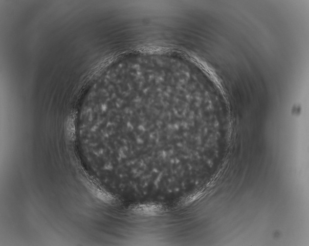 X0000116800065201001291549