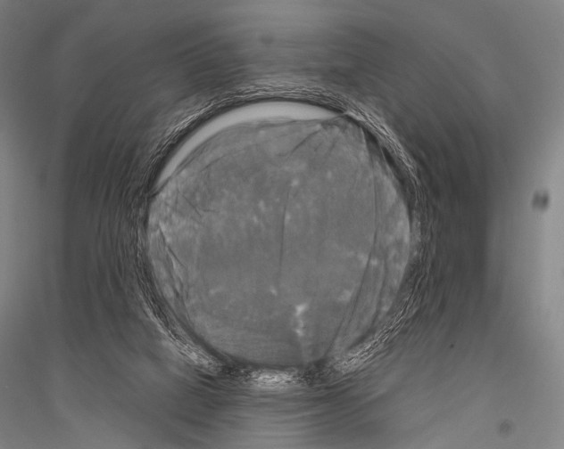 X0000116800066201001291549