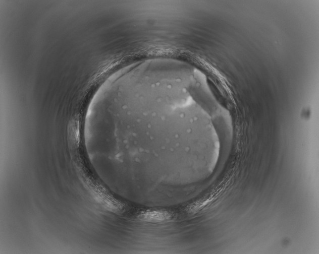 X0000116800067201001291549