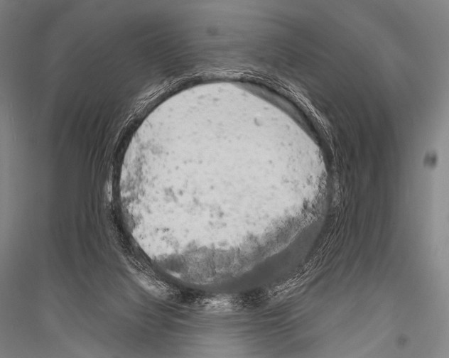 X0000116800068201001291549