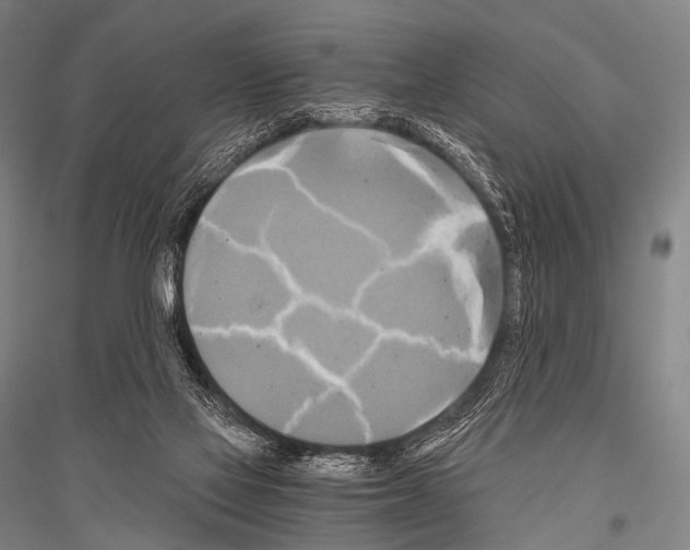 X0000116800069201001291549