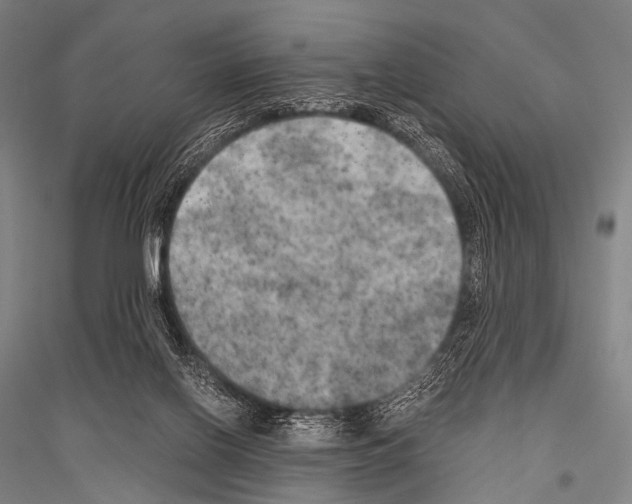 X0000116800070201001291549