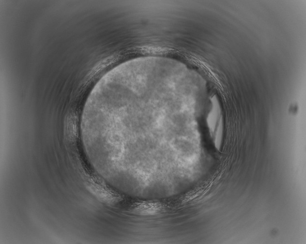 X0000116800071201001291549